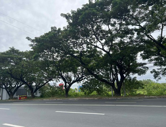 1,676 sqm Commercial lot in Southwoods Carmona, Cavite for Sale