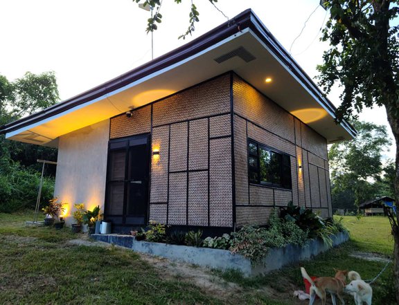 1 Hectare Farm Lot with Fully Furnished House in Palawan