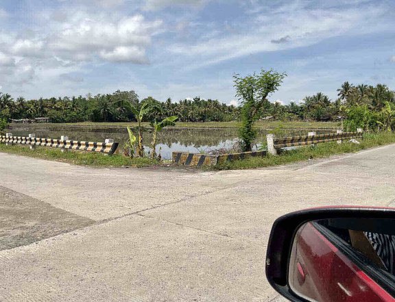 3.44 hectares Land For Sale in Tacurong Sultan Kudarat