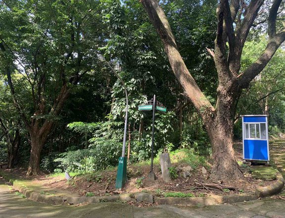 Corner lot 669 sqm Town and Country Antipolo lot for Sale