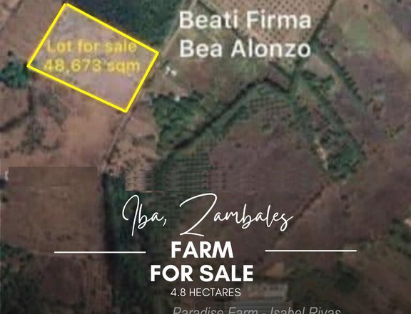 FARM LOT FOR SALE IN IBA, ZAMBALES
