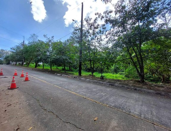 476 sqm Residential Lot For Sale in Antipolo Rizal | Valley Golf