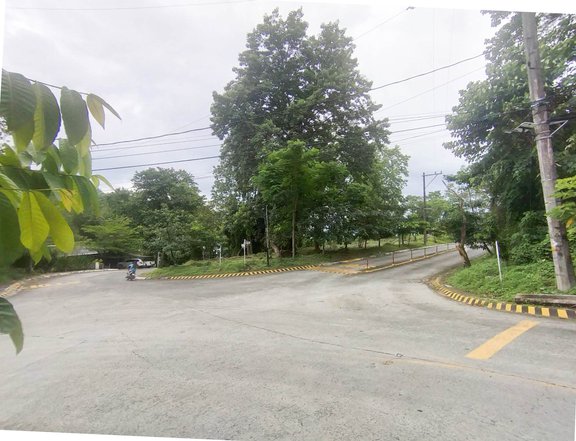 Rizal Lot 906 SQM for Sale in Parkridge Estate Subdivision