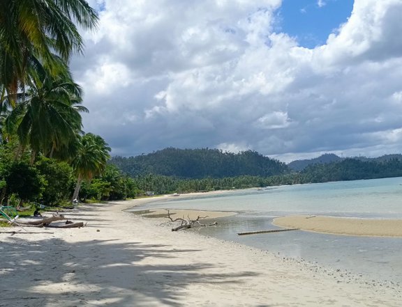 PAMUAYAN BEACH - SAN VICENTE PALAWAN