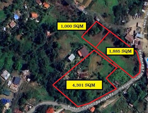 I am selling Lot Only Residential Farm at Mountain Side of Cebu City