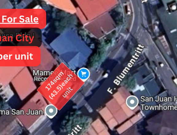 San Juan City Commercial Property Space For Sale in F. Blumentritt San Juan City