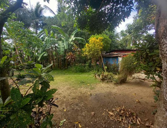864 sqm residential Farm For Sale in Cuenca Batangas