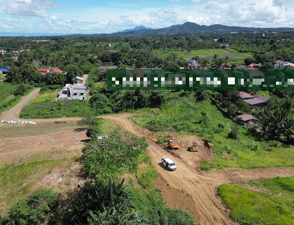150 sqm Lot For Sale in Silang Cavite Silang