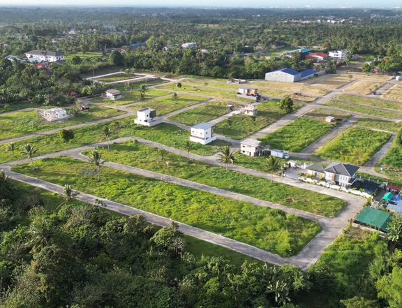 100 sqm Lot For Sale in Silang Cavite