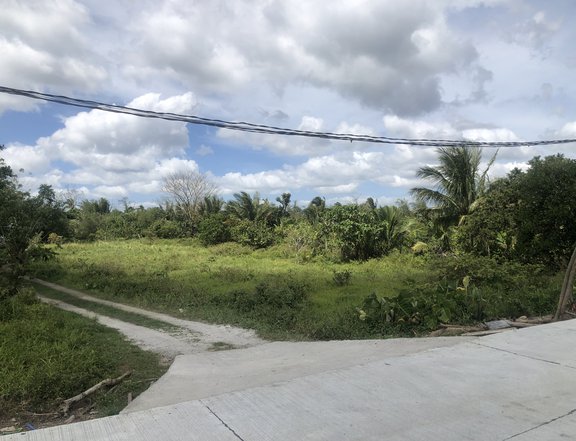2,479sqm Lot For Sale at JUST P2.5k/sqm !! Amadeo, Cavite