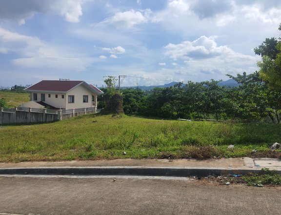 204 sqm Residential Lot For Sale in Consolacion Cebu  VISTA VERDE