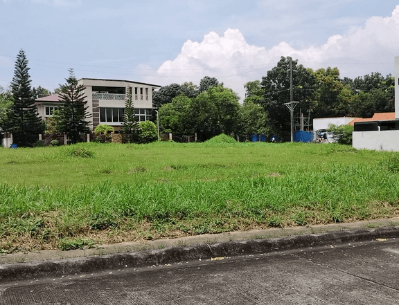 510 sqm Residential Lot For Sale in Antipolo Rizal