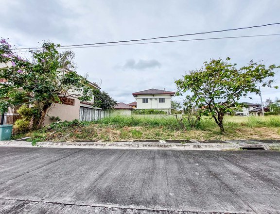 216 sqm Residential Lot For Sale in Binan Laguna