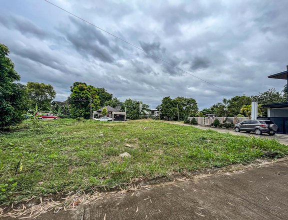 370 sqm Residential Lot For Sale By Owner in Cainta Rizal
