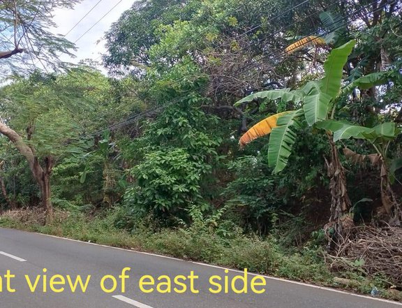 5.29 hectares Lot For Sale in Morong Bataan