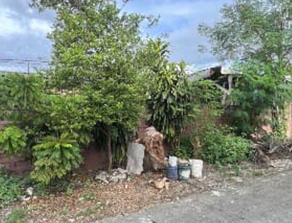 FOR SALE: AFPOVAI Taguig Lot
