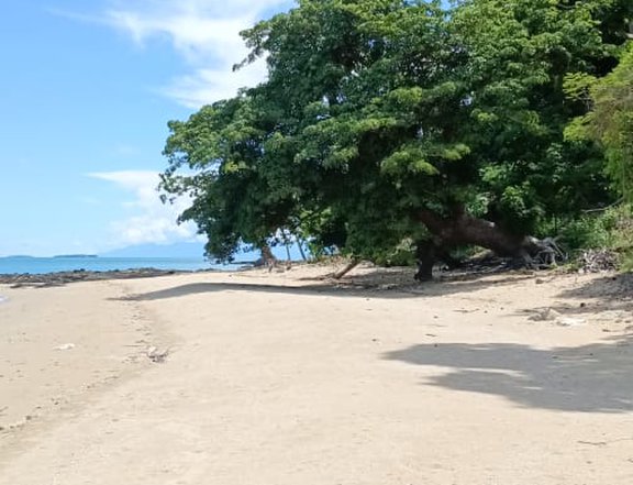 719 sqm Overlooking/Subdivided Beach Lot in Roxas, Palawan