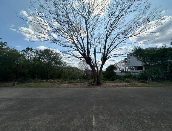 Residential Lot For Sale - Kawayan Cove
