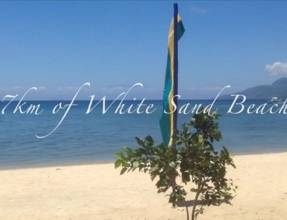 Beach Lot For Sale at Playa Laiya in San Juan Batangas White Sand
