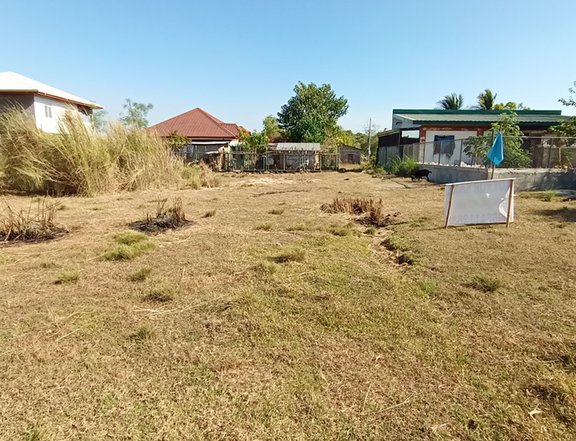 Vacant  elevated lot in Sabangan Alaminos City going Bolo Beach