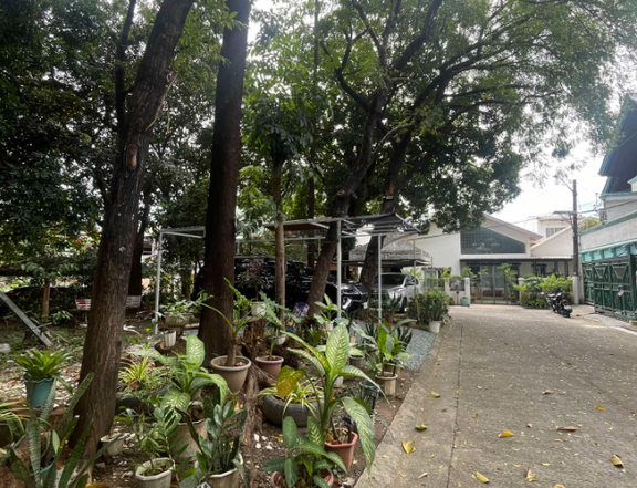220 SQ M CORNER LOT NORTH SUSANA EXECUTIVE VILLAGE, MATANDANG BALARA, QUEZON CITY