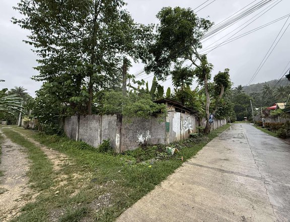 545 sqm Residential Lot For Sale in Tipanoy, Iligan Lanao del Norte