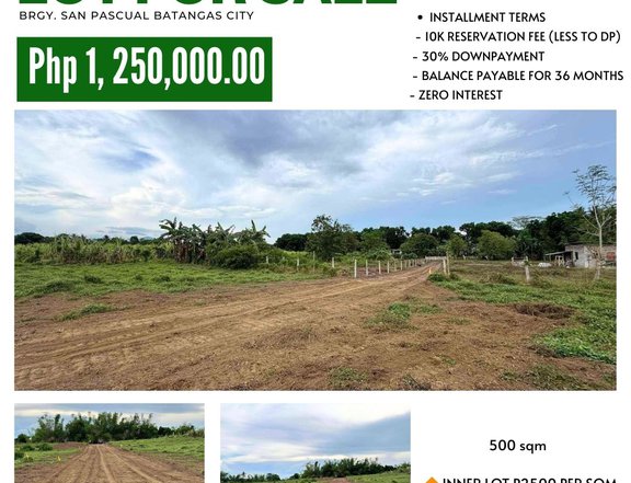 500 sqm Farm Lot For Sale in San Pascual Batangas