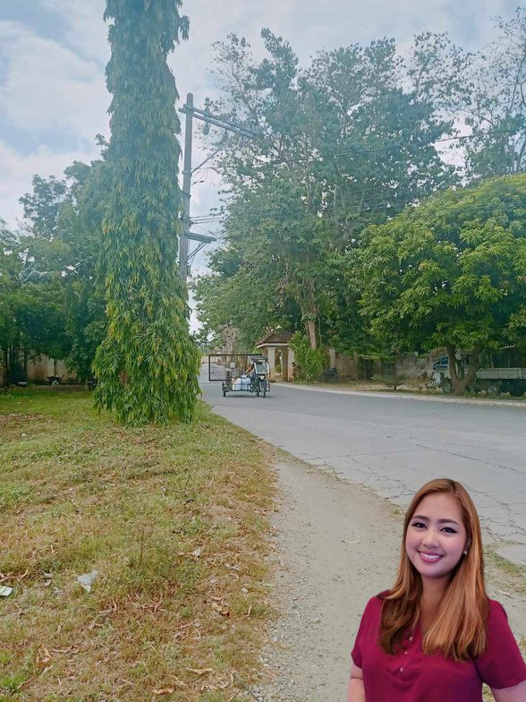 Affordable Commercial Property For Sale Santo Tomas Batangas 🏭 [1 Property] (November 2023) on