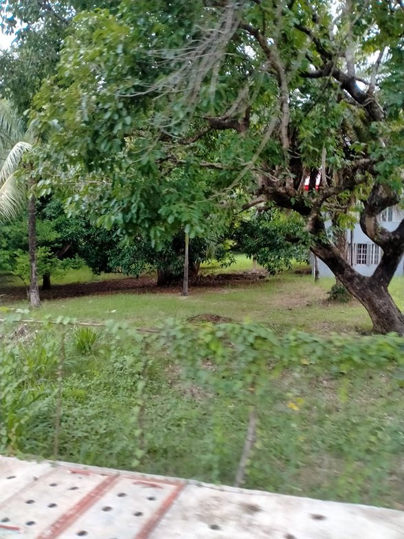 House And Lot For Sale Tanay Rizal 🏘️ [201 Properties] (April 2021) on