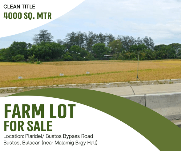 Lot For Sale Bustos Bulacan 🚜 [451 Properties] (June 2024) on ...