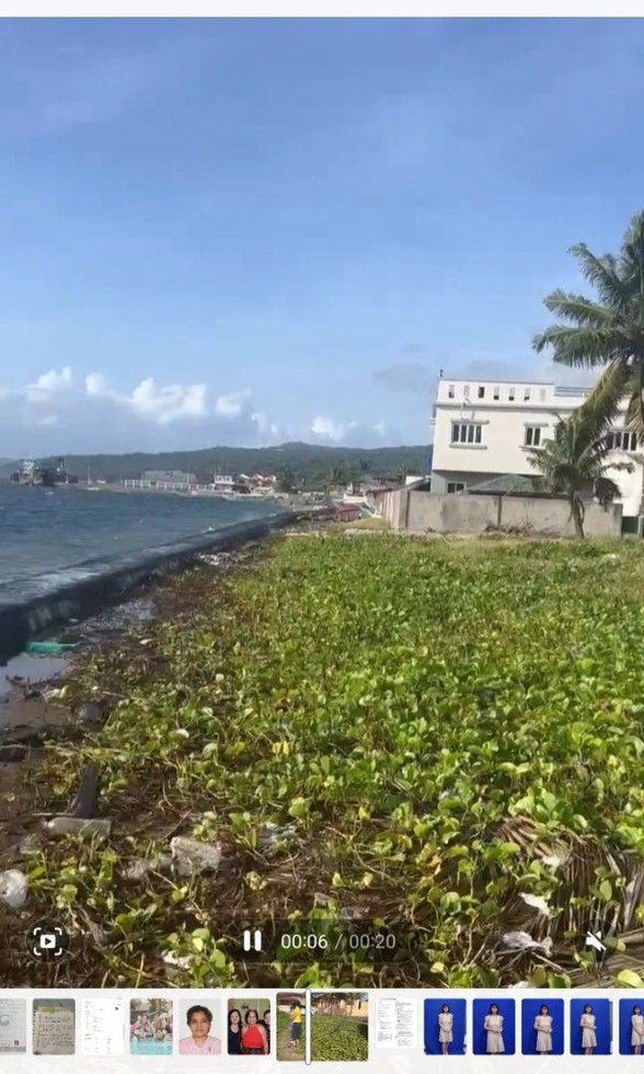 Beach Property For Sale Mabini Batangas 🏖️ [191 Properties] (July 2024