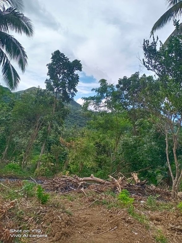 Residential Farm Lot For Sale Calaca Batangas [224 Properties] (July