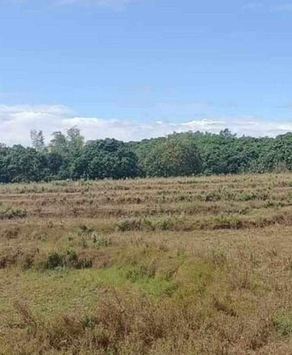 Agricultural Farm Lot For Sale Angat Bulacan [90 Properties] (August