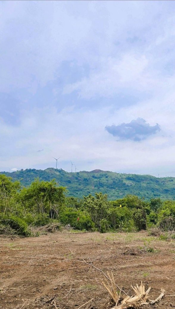 Lot For Sale Tanay Rizal 🚜 [803 Properties] (June 2023) on