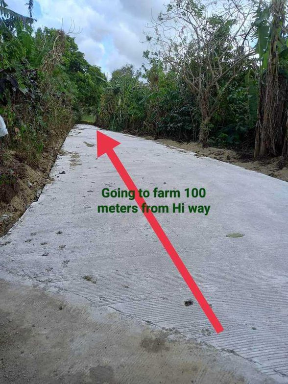 Residential Lot For Sale Amadeo Cavite [1,498 Properties] (September