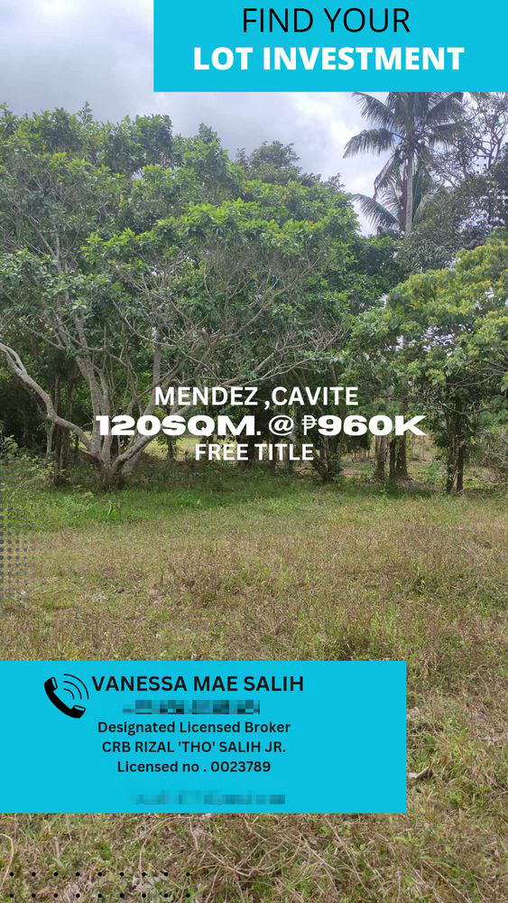 Affordable Lot For Sale Mendez Mendez Nua Ez Cavite [45,419 Properties