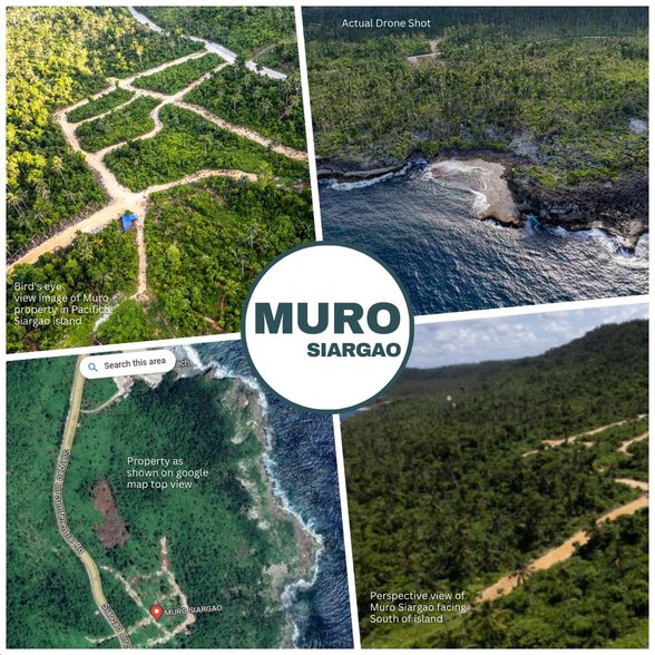 Residential Lot For Sale Surigao City Surigao Del Norte [13 Properties