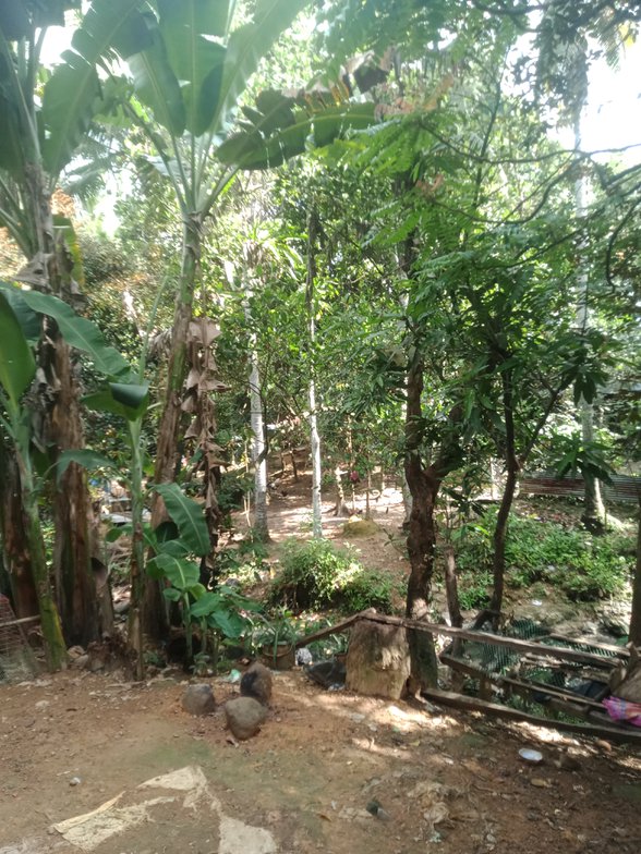 Agricultural Farm Lot For Sale Paracale Camarines Norte 🚜 [3 Properties