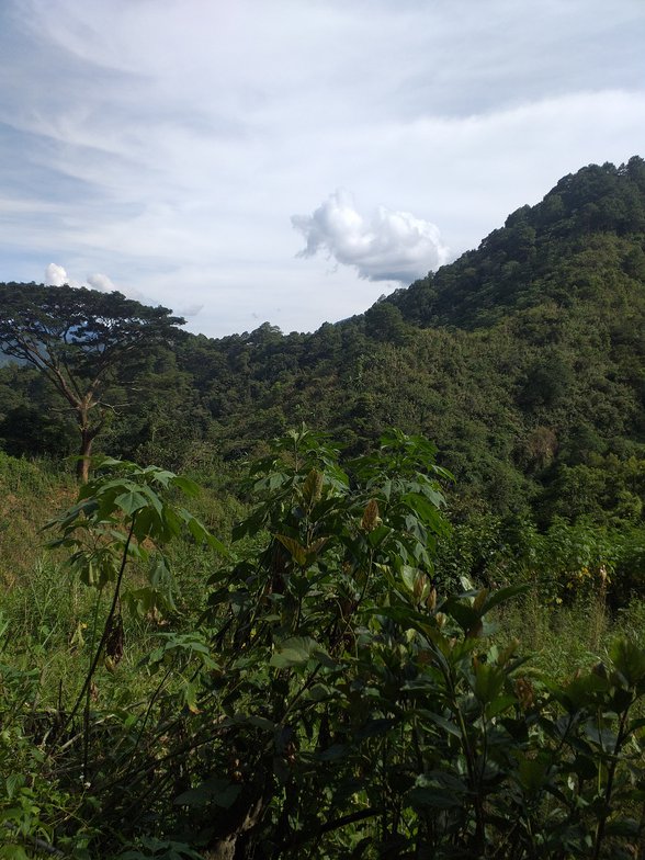 Lot For Rent Itogon Benguet [1 Property] (November 2021) on