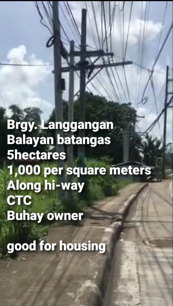 Lot For Sale Balayan Batangas 🚜 [458 Properties] (November 2022) on