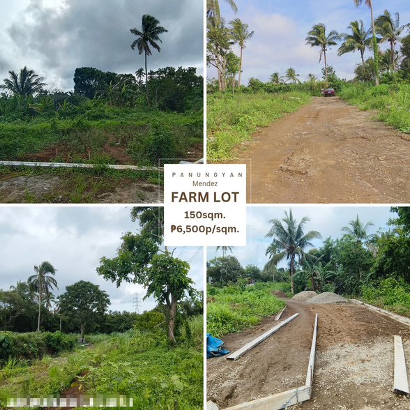 Mendez Cavite Lot For Sale [42,361 Properties] (February 2024) on