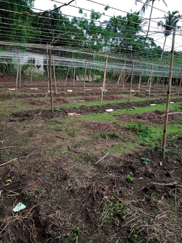 Clean Title House And Lot For Sale Laurel Batangas 🏘️ [474 Properties