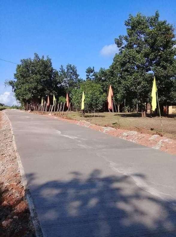 Residential Farm Lot For Sale Coron Palawan 🚜 [18 Properties] (April