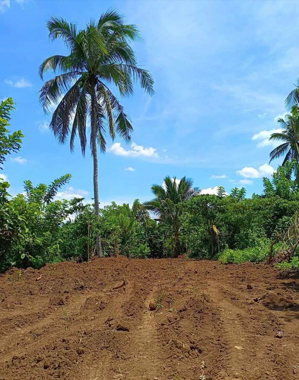 How Big Is 250 Hectares 3 834 Properties November 2023 On How Big Is 250 Hectares 3 834 Properties November 2023 On