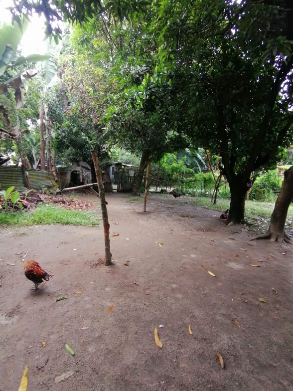 Residential Lot For Sale Dinalupihan Bataan [62 Properties] (August