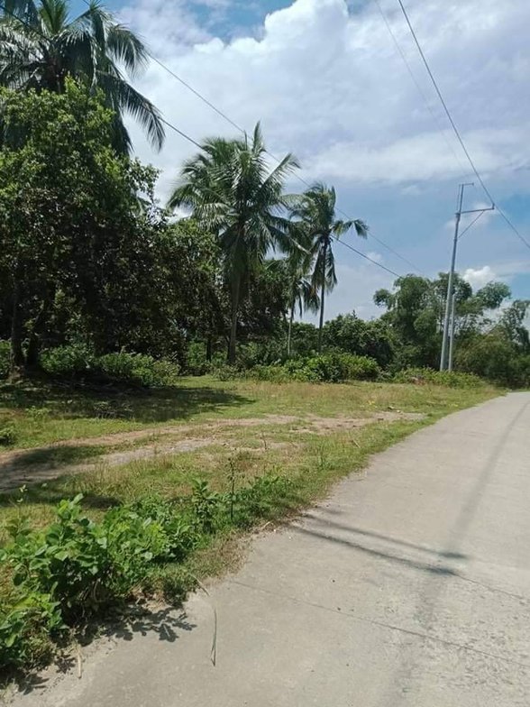 10 Hectares Lot For Sale Philippines [11,656 Properties] (July 2024) on