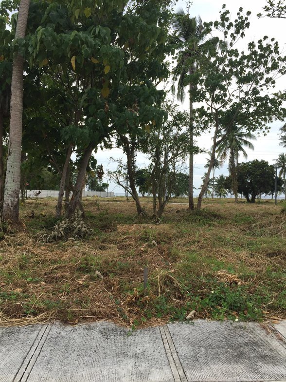 Playa De San Juan Alicante Property For Sale [47,163 Properties] (June