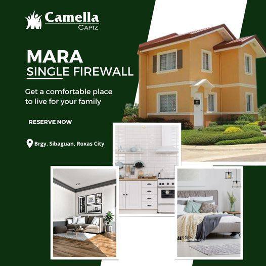 Discounted House And Lot For Sale Roxas City Capiz 🏘️ [18 Properties