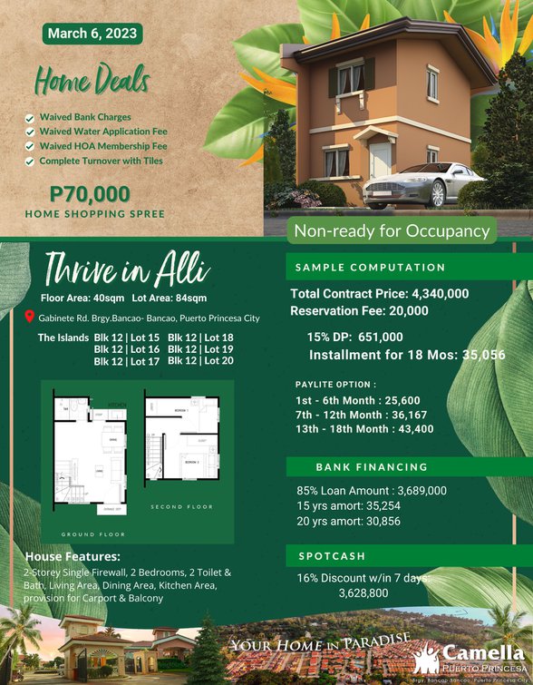 How Much Palawan Charge [3,101 Properties] (March 2023) on