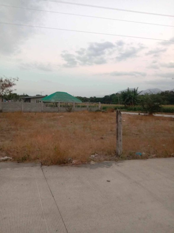 Affordable Lot For Sale Vigan Ilocos Sur [4 Properties] (July 2026) on ...